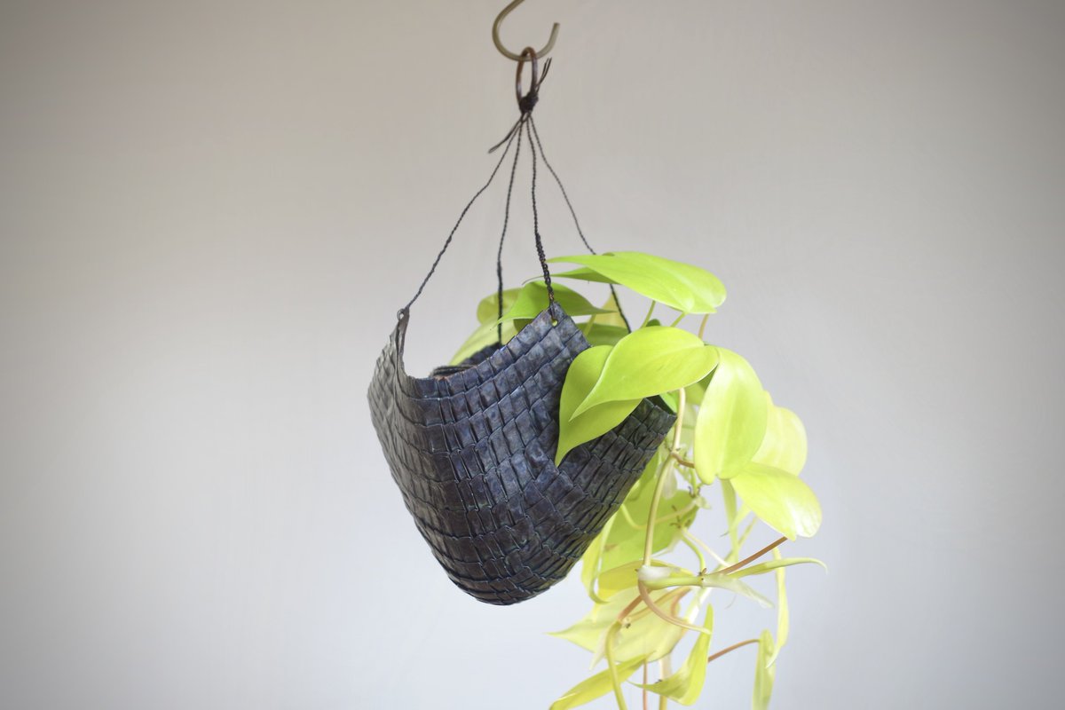 土井 源 tweet media