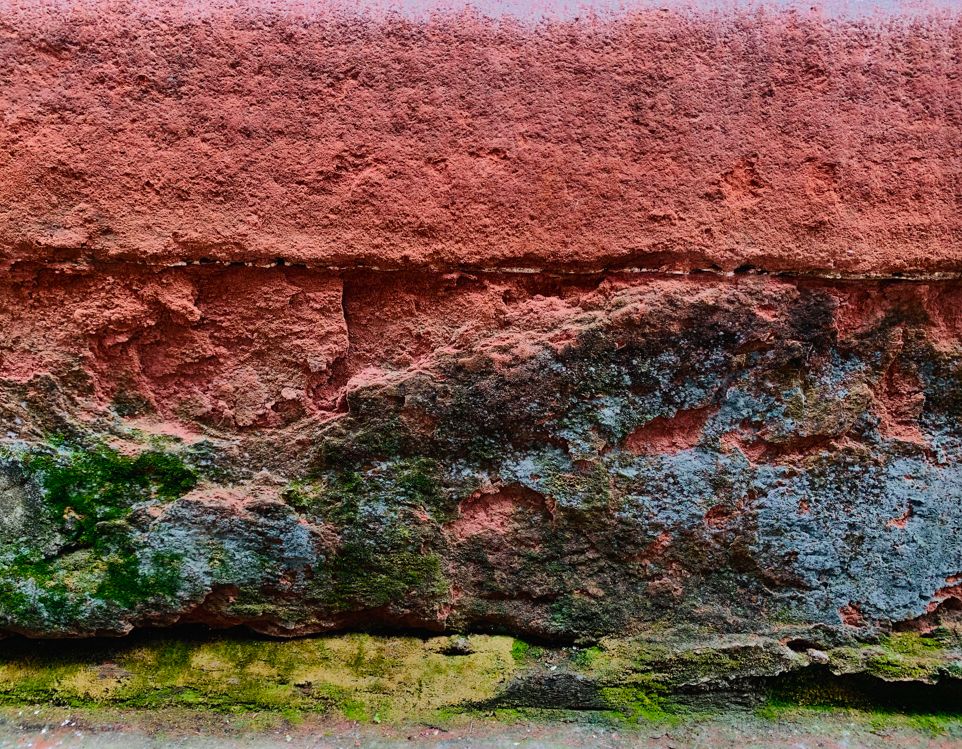 john watson tweet media