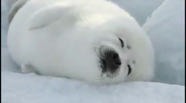 /•᷅•᷄\Ⳋ tweet media