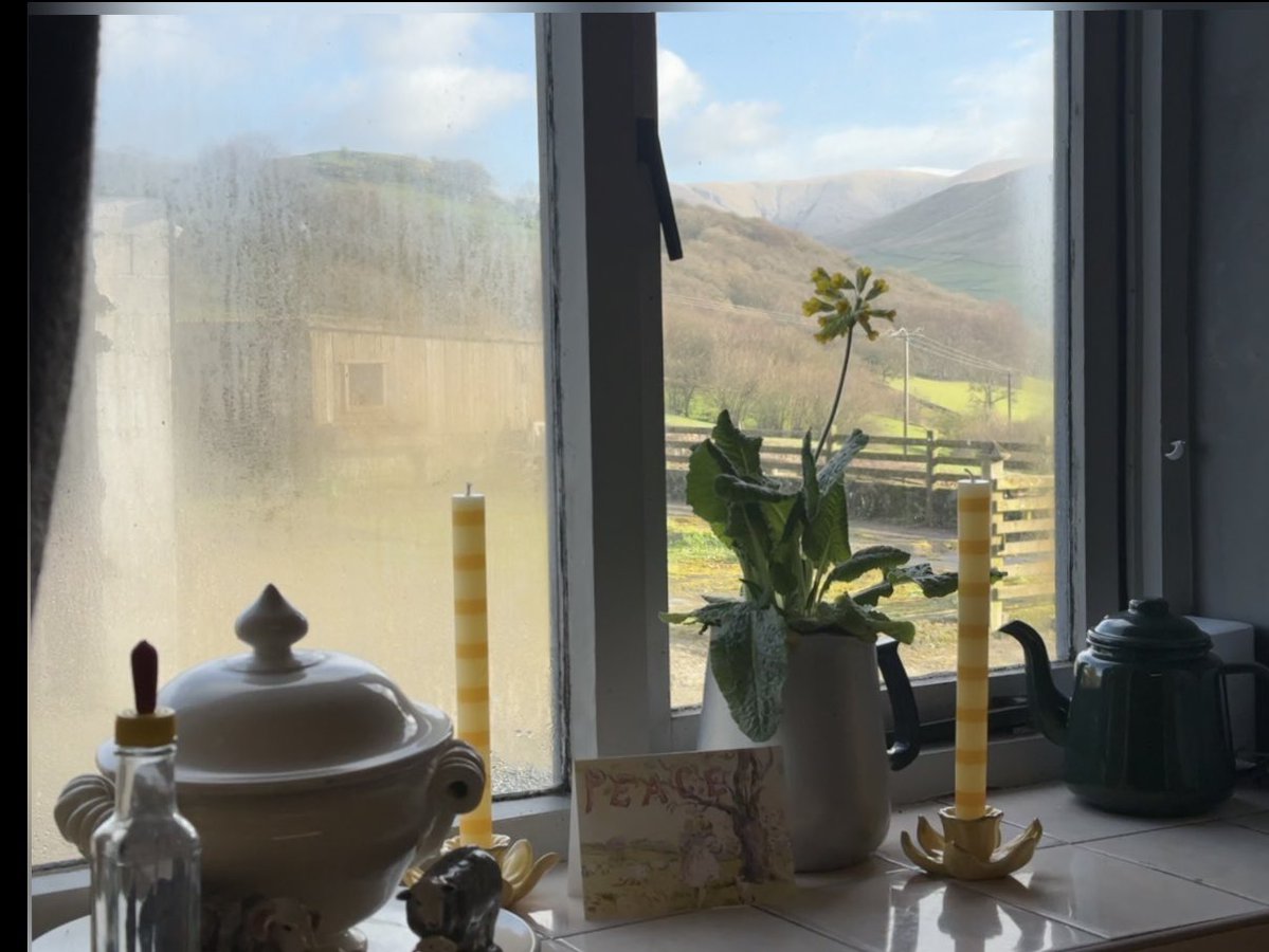 Alison O’Neill ~ Shepherdess tweet media