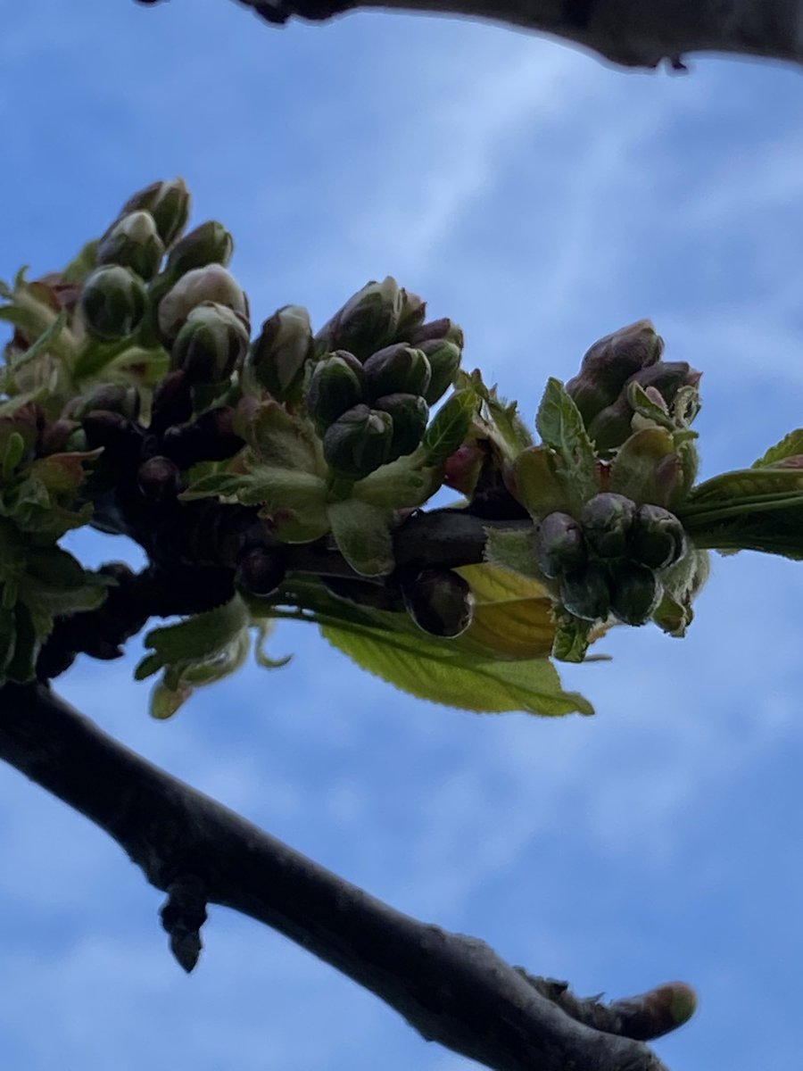 Ken Hunt tweet media