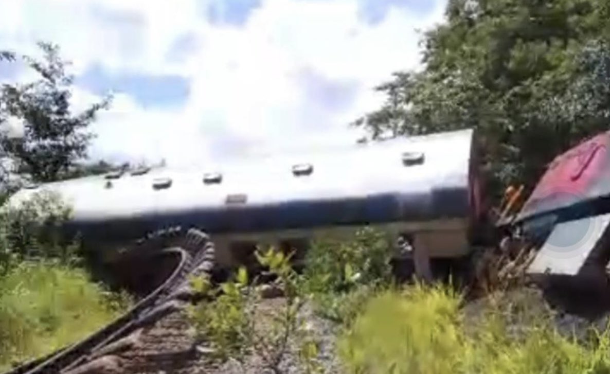 Pulse Congo tweet media