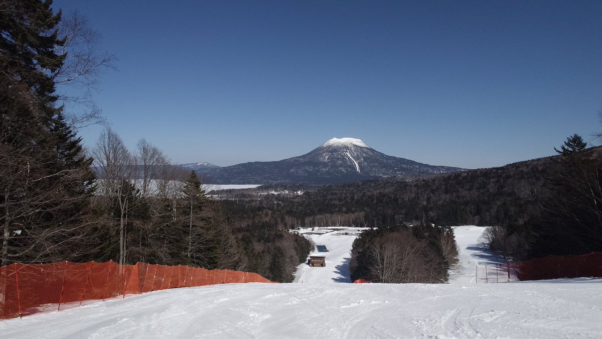 バーン🐄 tweet media