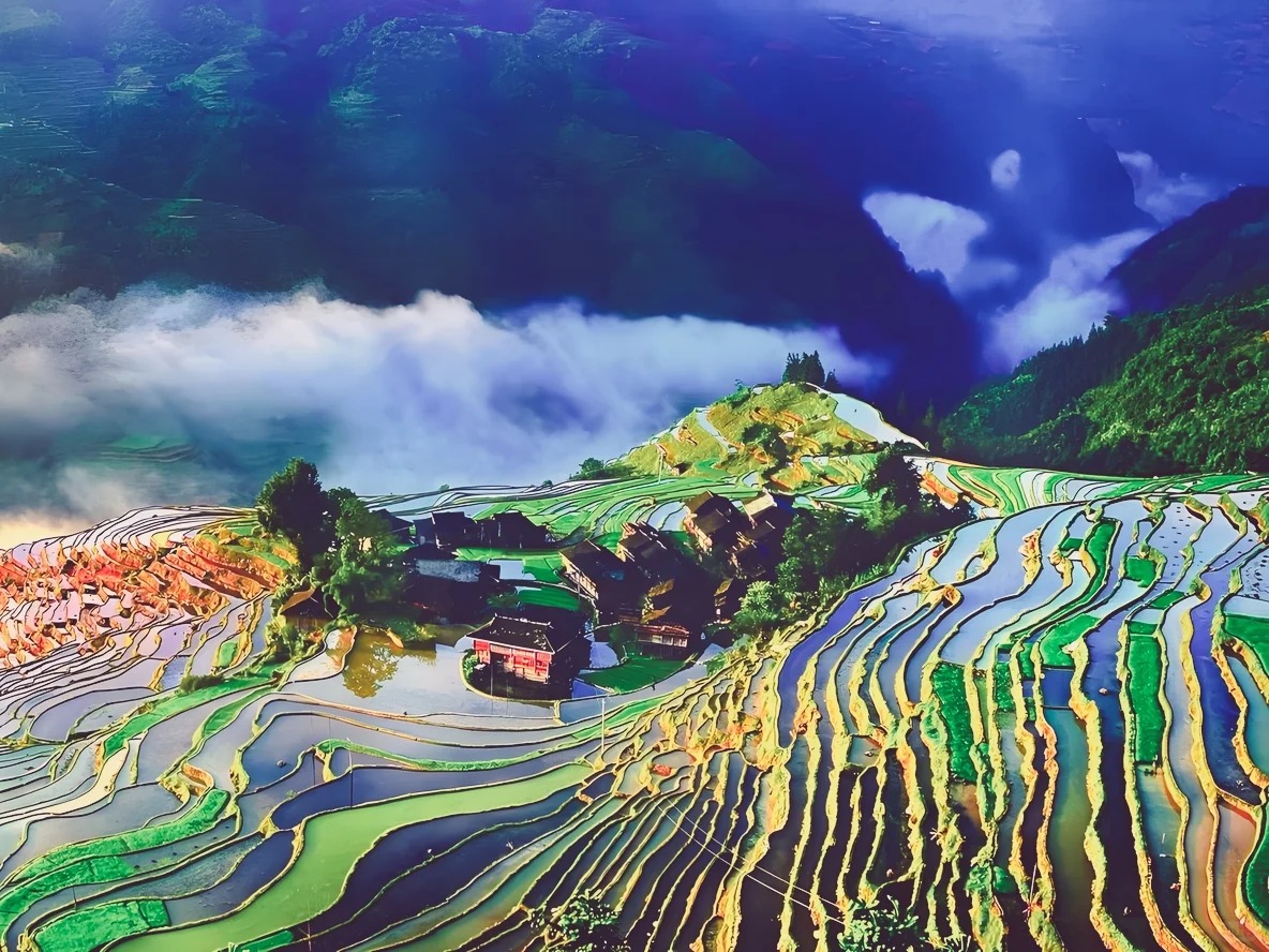 安吉🌺100%回fo tweet media