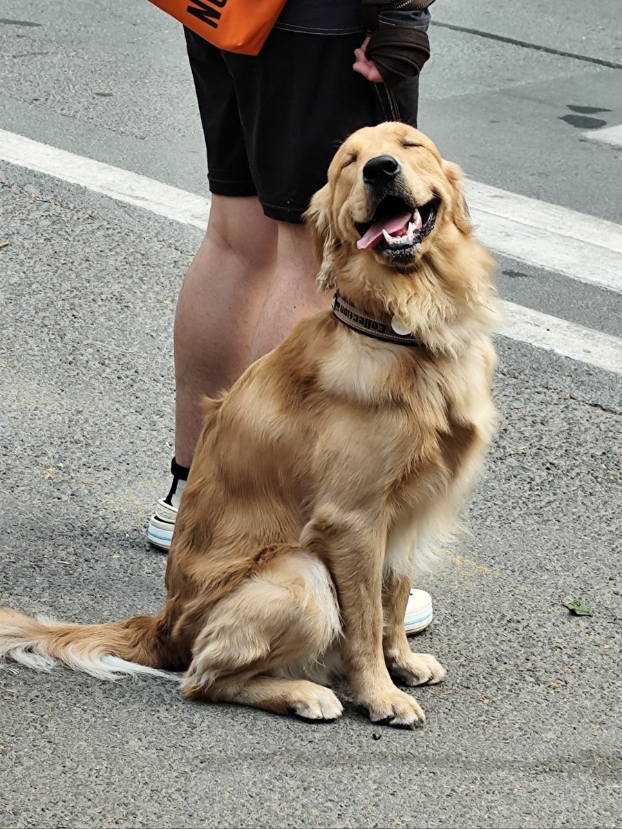 Nicholas Chiasson tweet media