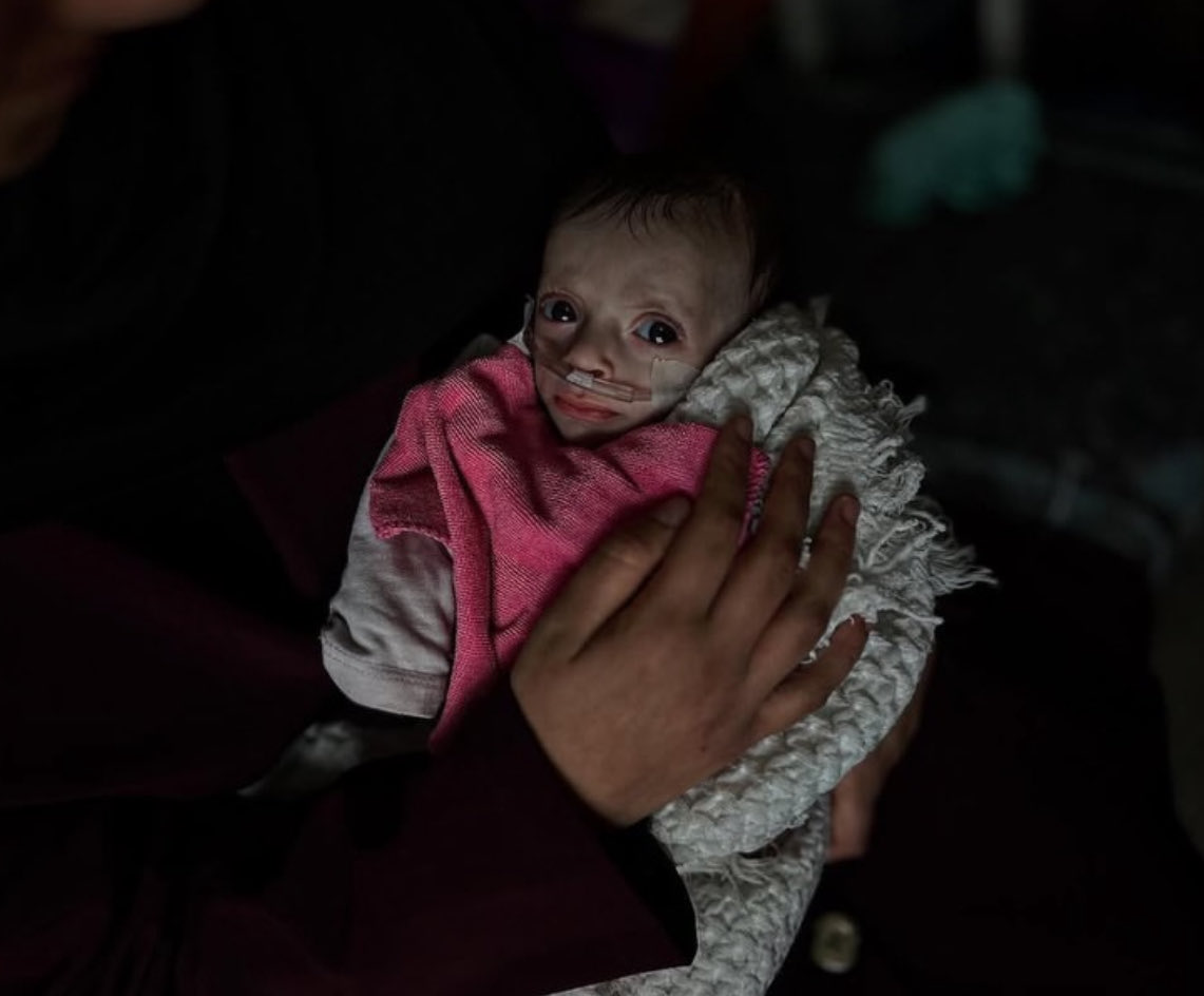 Doaa albaz tweet media