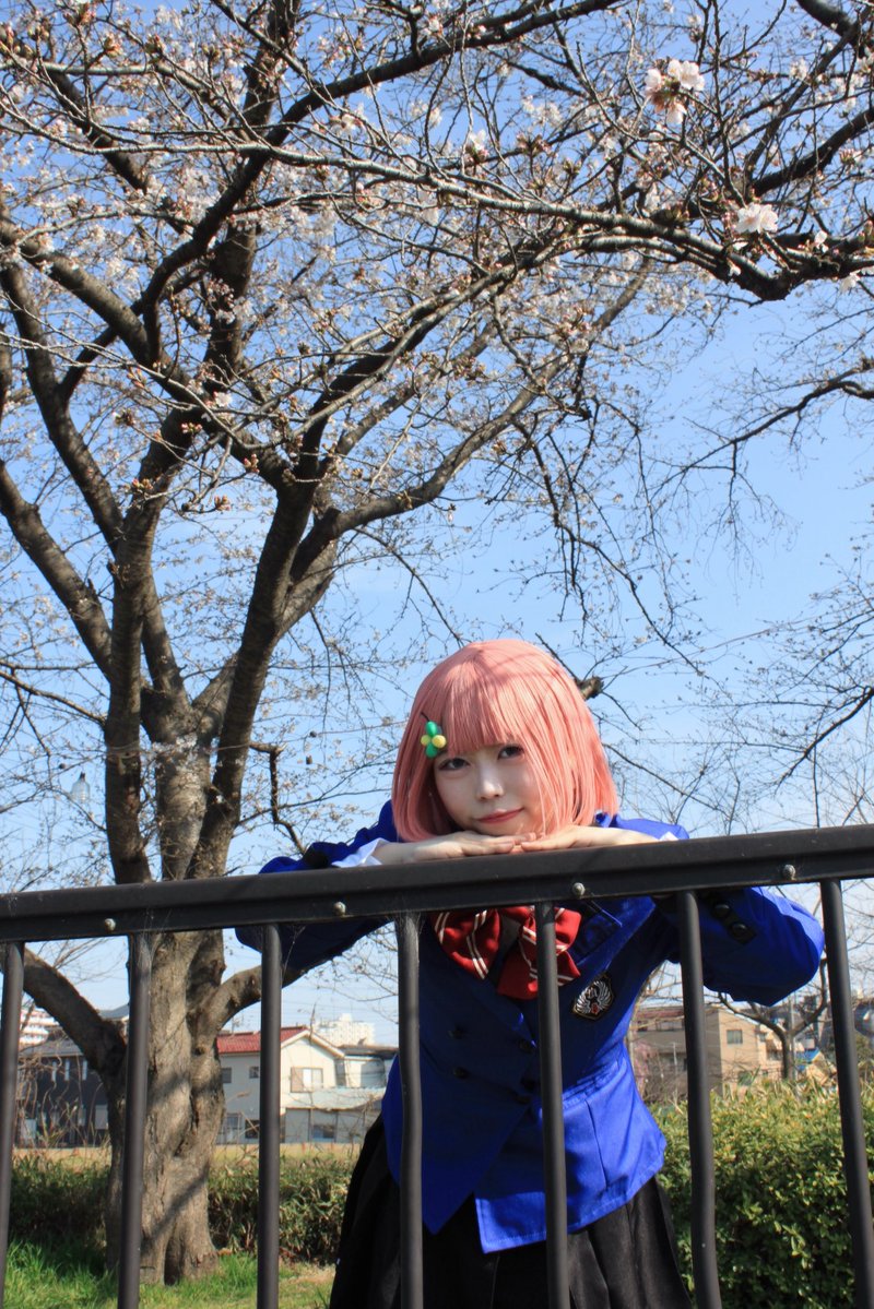 なぴ₃ 4/4a！ tweet media