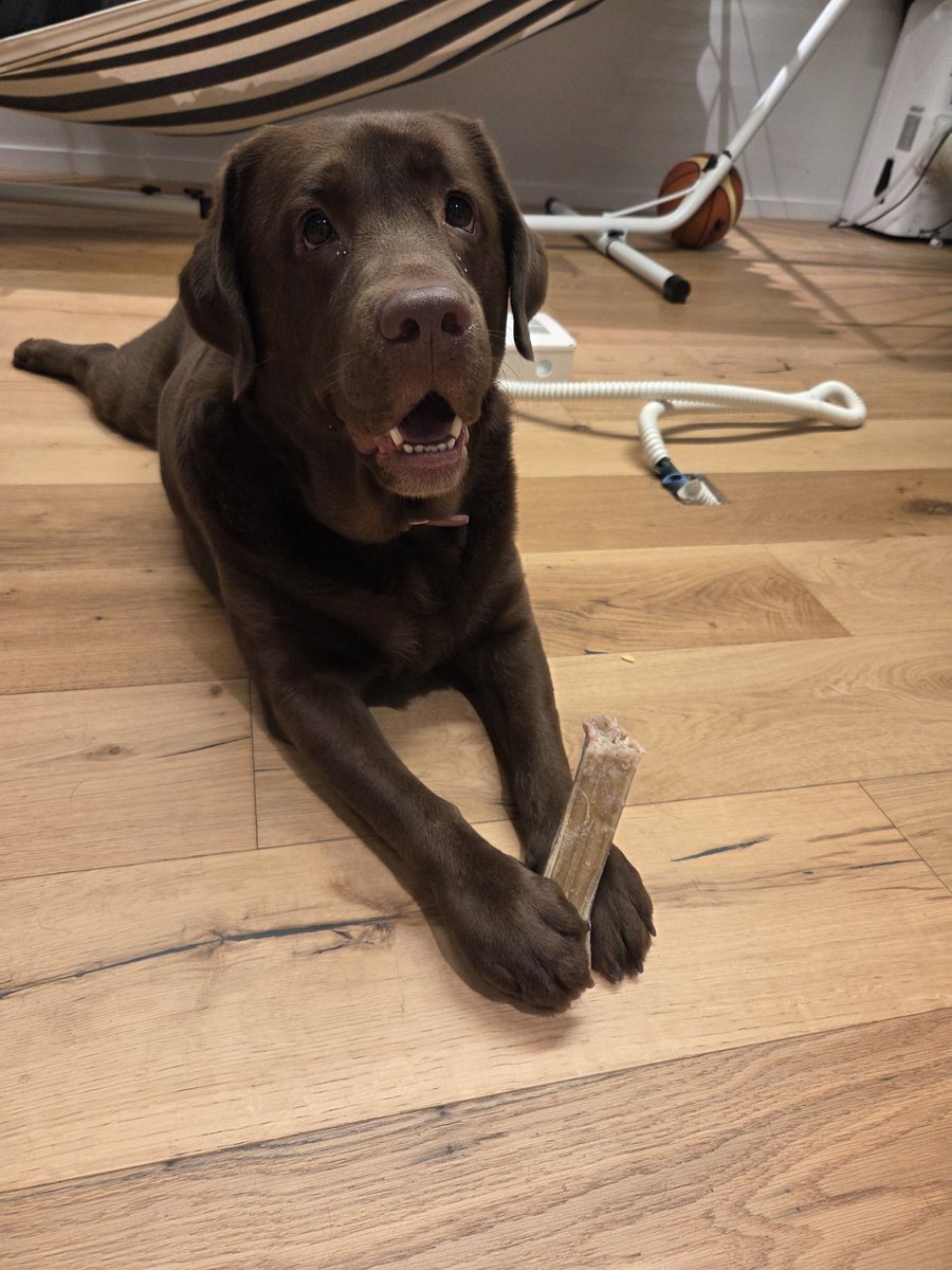 Yotam Gutman tweet media