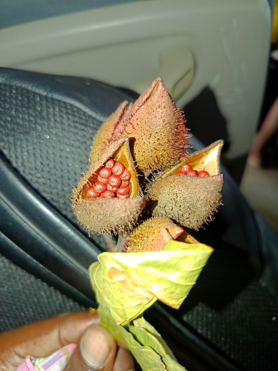 Pawa IT Solutions tweet media