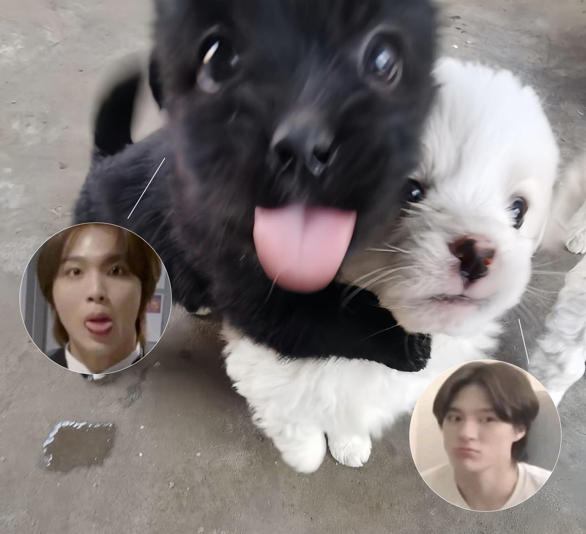 HecanEcun tweet media