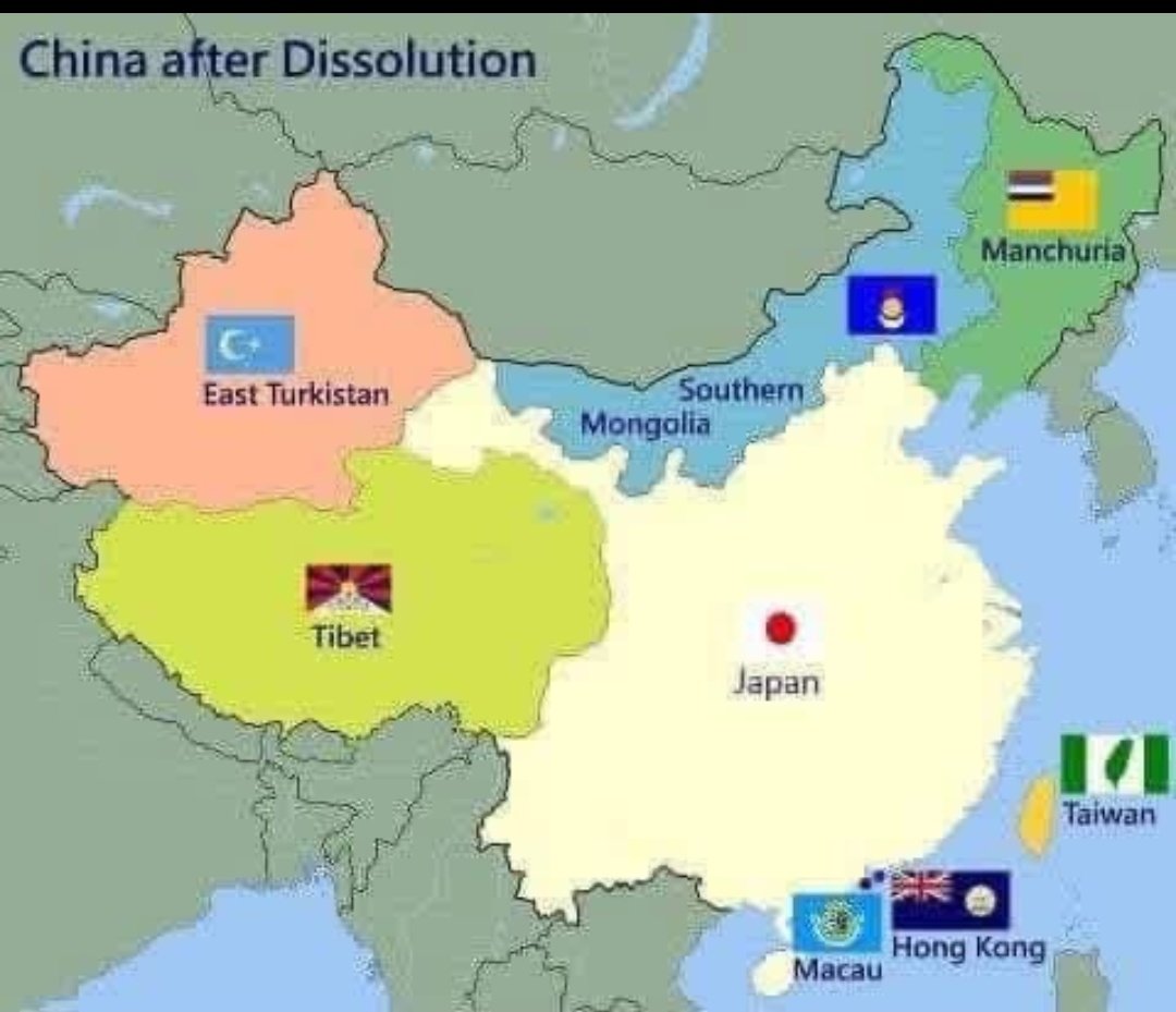 Owlman🇽🇰🇵🇸🇺🇦 tweet media