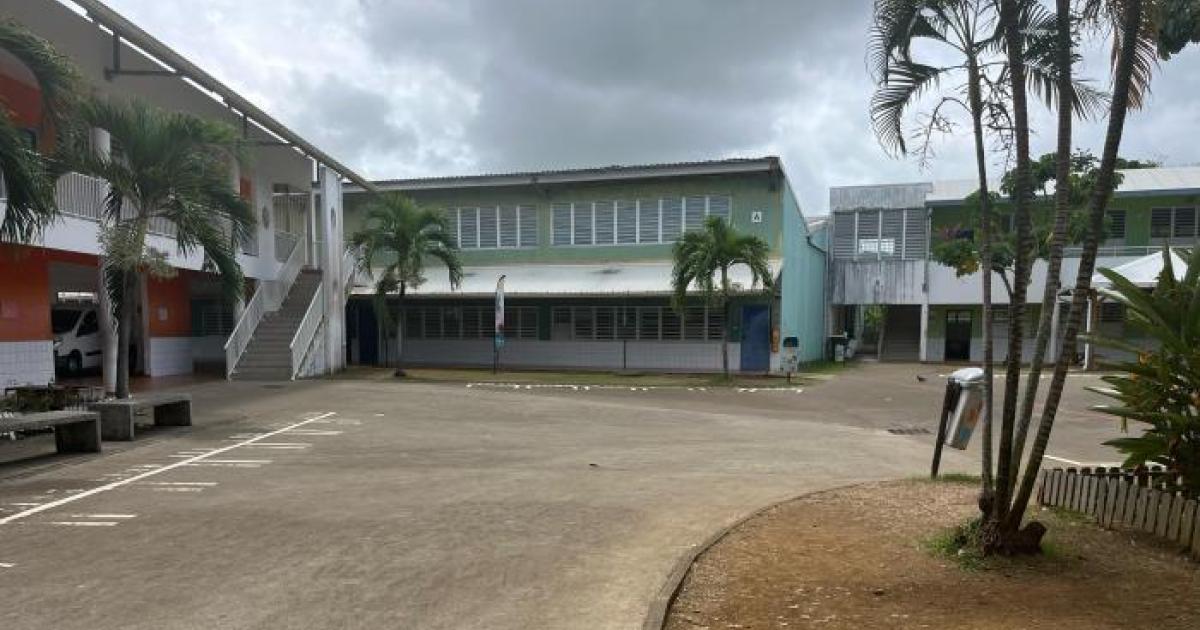 outremers360's tweet image. #Martinique - Echouages de #sargasses au #Robert : le collège Robert 3 passe en distanciel jusqu’aux vacances de Pâques

➡️outremers360.com/bassin-atlanti…

➡️ Depuis le mardi 24 mars, le collège Robert 3 assure ses cours à distance, à cause des émanations de gaz des sargasses échouées