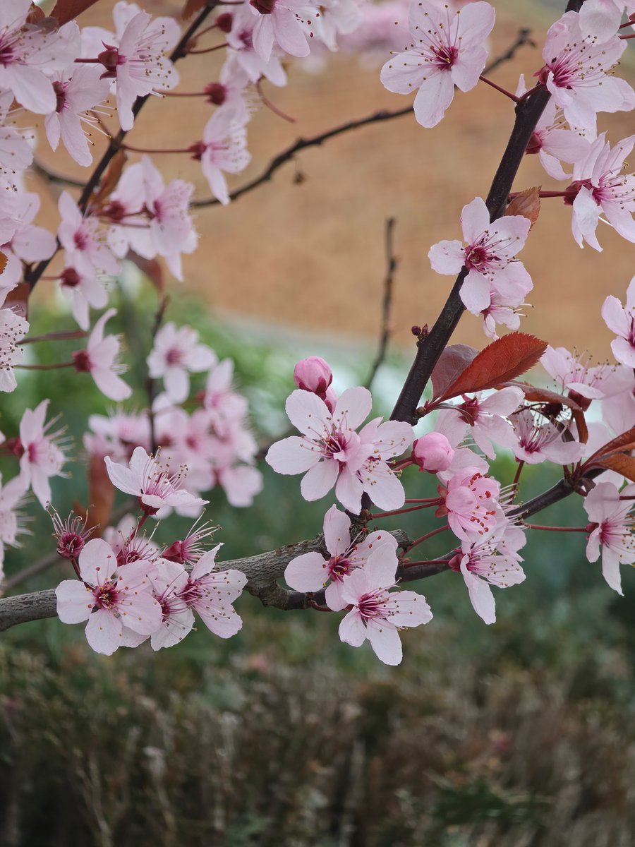 TechDepth tweet media