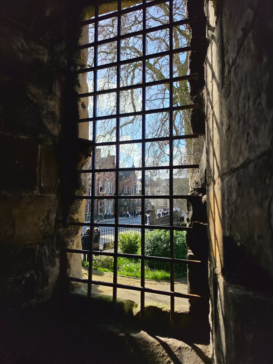 TechDepth tweet media