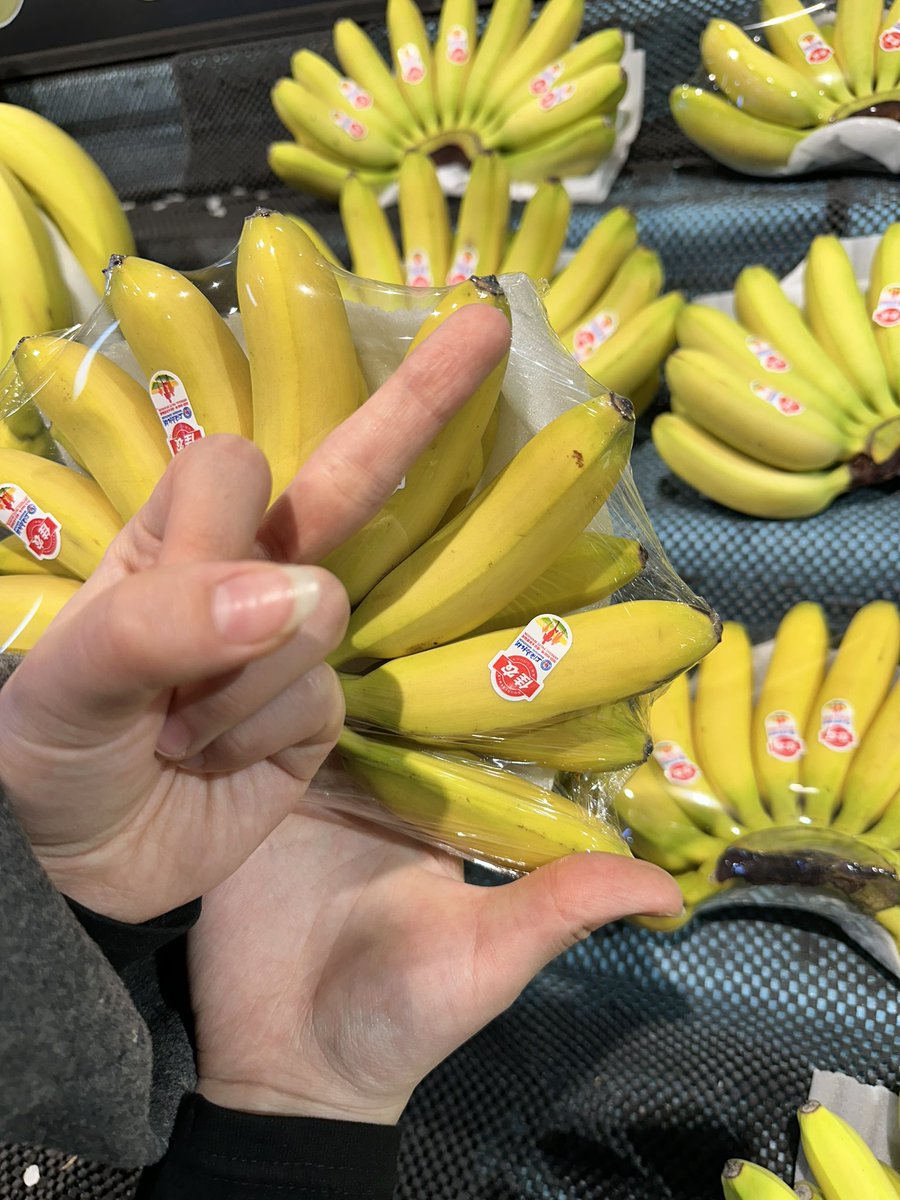 救赎-S tweet media