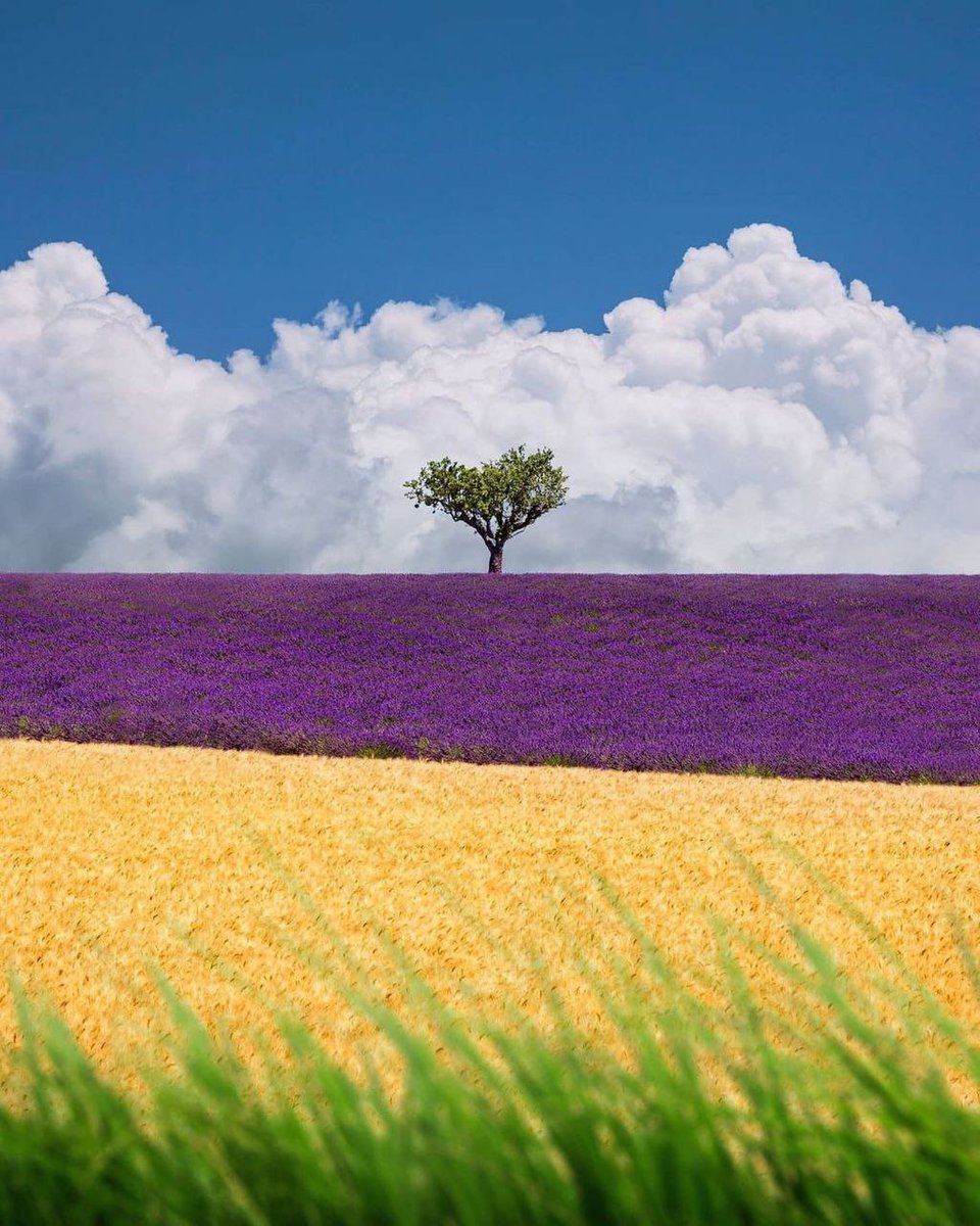 “Yine bahar geldi. 
Yeryüzü,şiirleri ezbere bilen 
bir çocuk gibidir..”

•rainer maria rilke