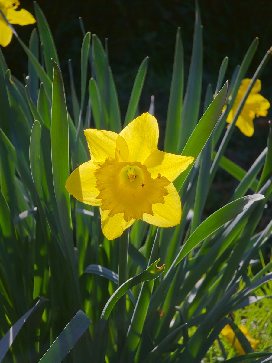 TechDepth tweet media