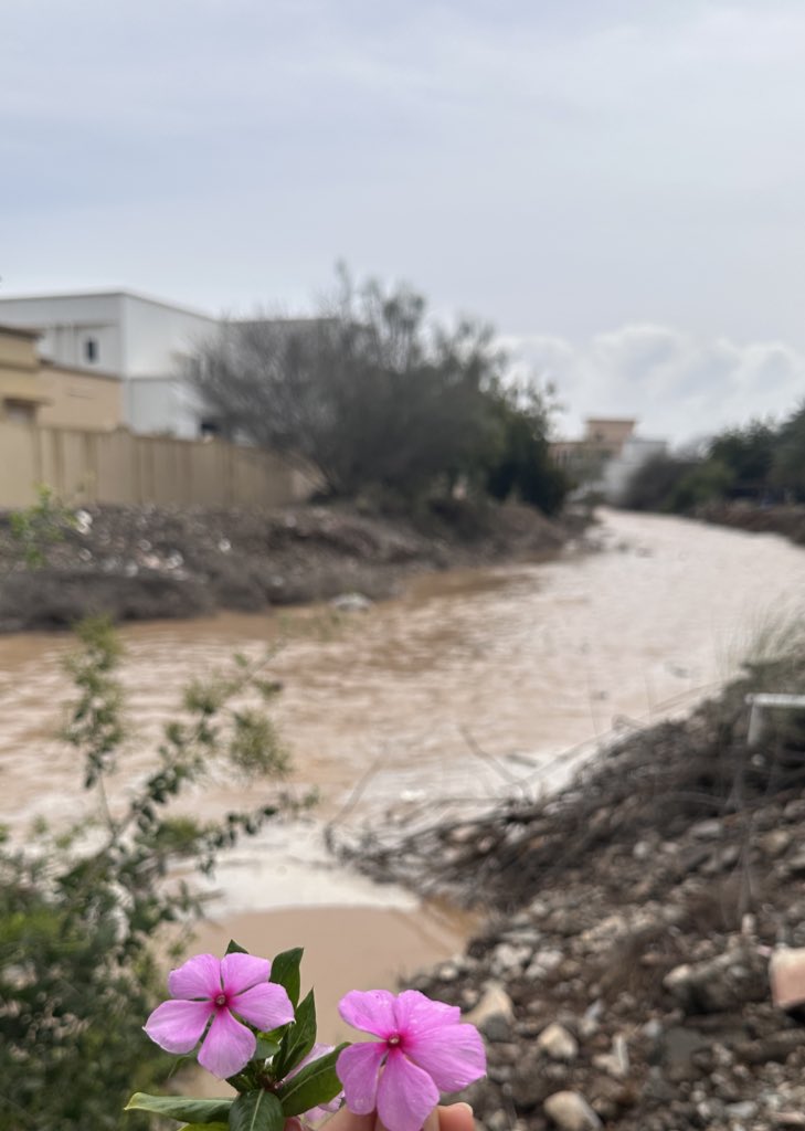 بنت البلاد🇴🇲 tweet media