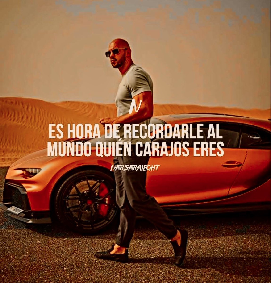 lgramirezv tweet media