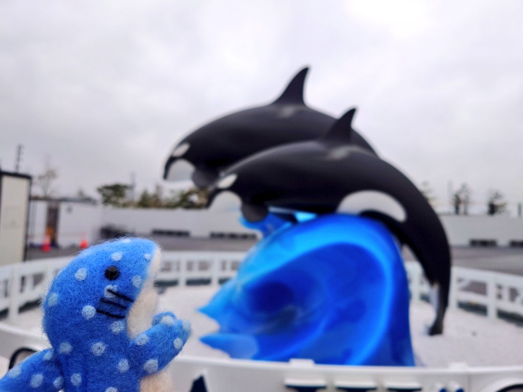 みきお@猫とTBと吸死 tweet media