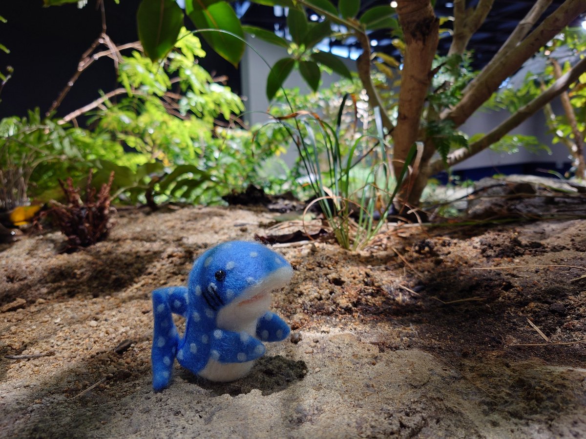 みきお@猫とTBと吸死 tweet media