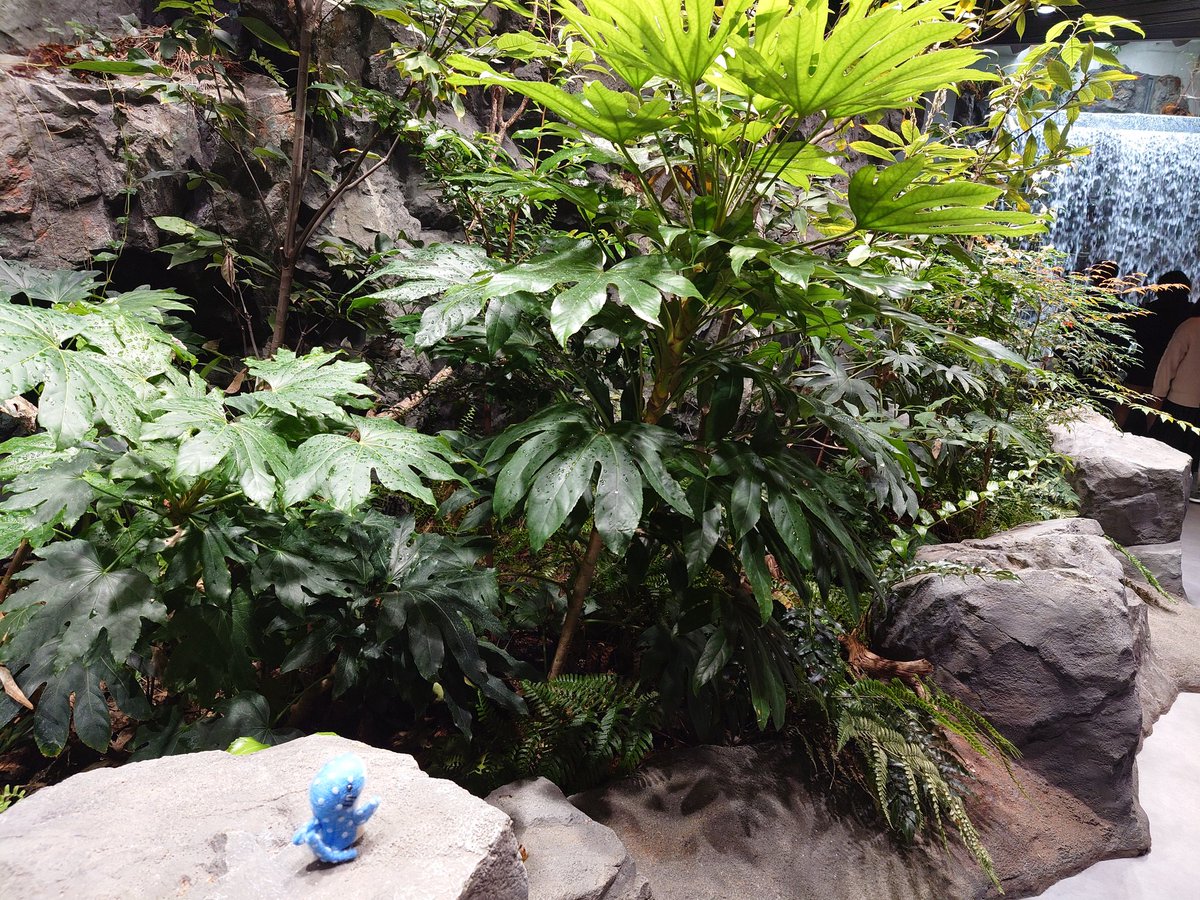 みきお@猫とTBと吸死 tweet media