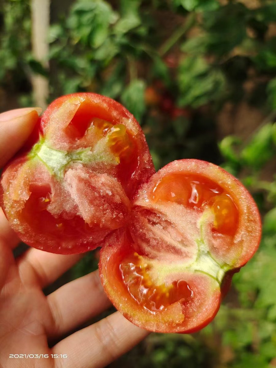 brittany tweet media