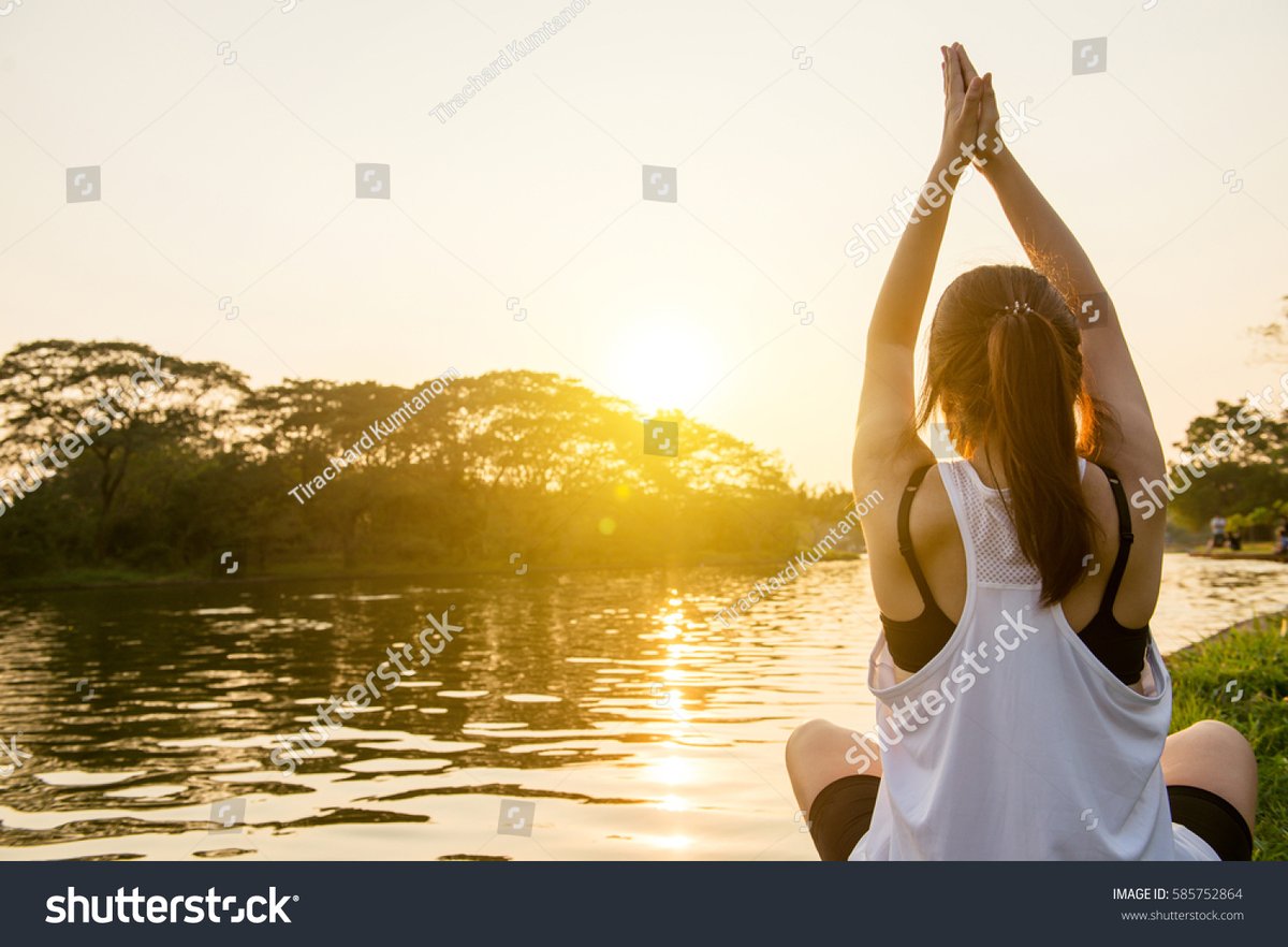 stephanie tweet media