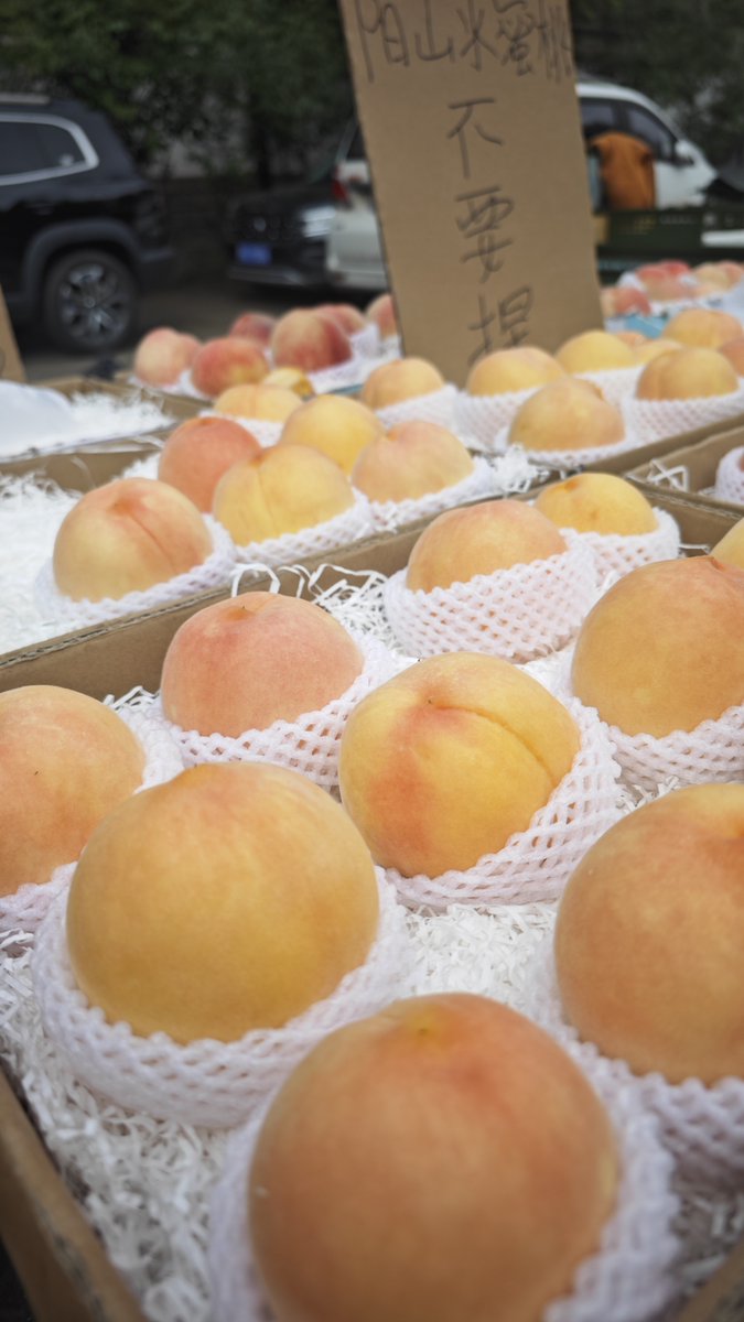 stefania tweet media