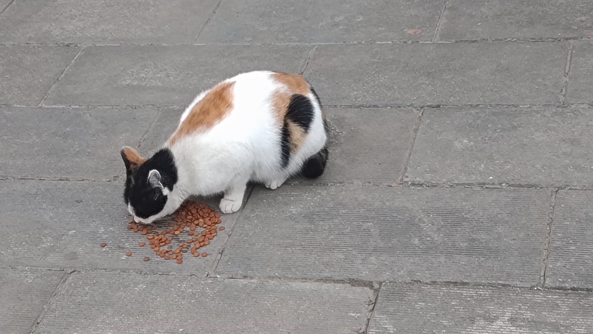 PRASHANTH tweet media