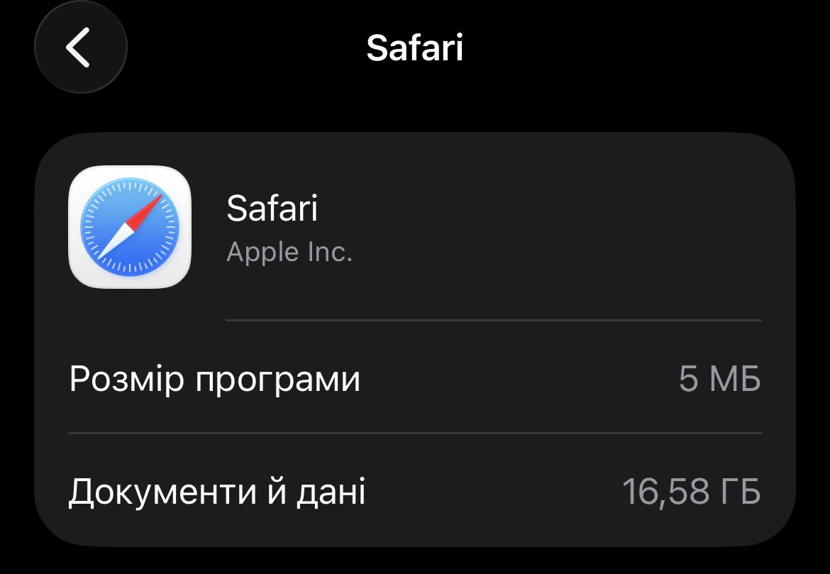 Alina Lytvynenko tweet media