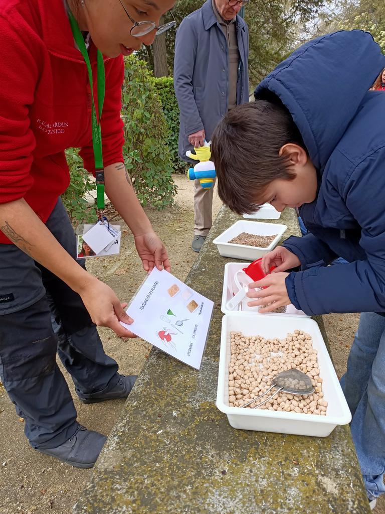 RJBOTANICO's tweet photo. La sexta sesión de #EmpowerParents, en el marco del #JardínAccesible, nos llevó a explorar el mundo de las texturas en el @RJBOTANICO @CSIC junto a familias con hijos/as con #TEA: una jornada sensorial de descubrimiento, juego y aprendizaje compartido.  
Col.: @FECYT_Ciencia https://t.co/bojMAHDDOR