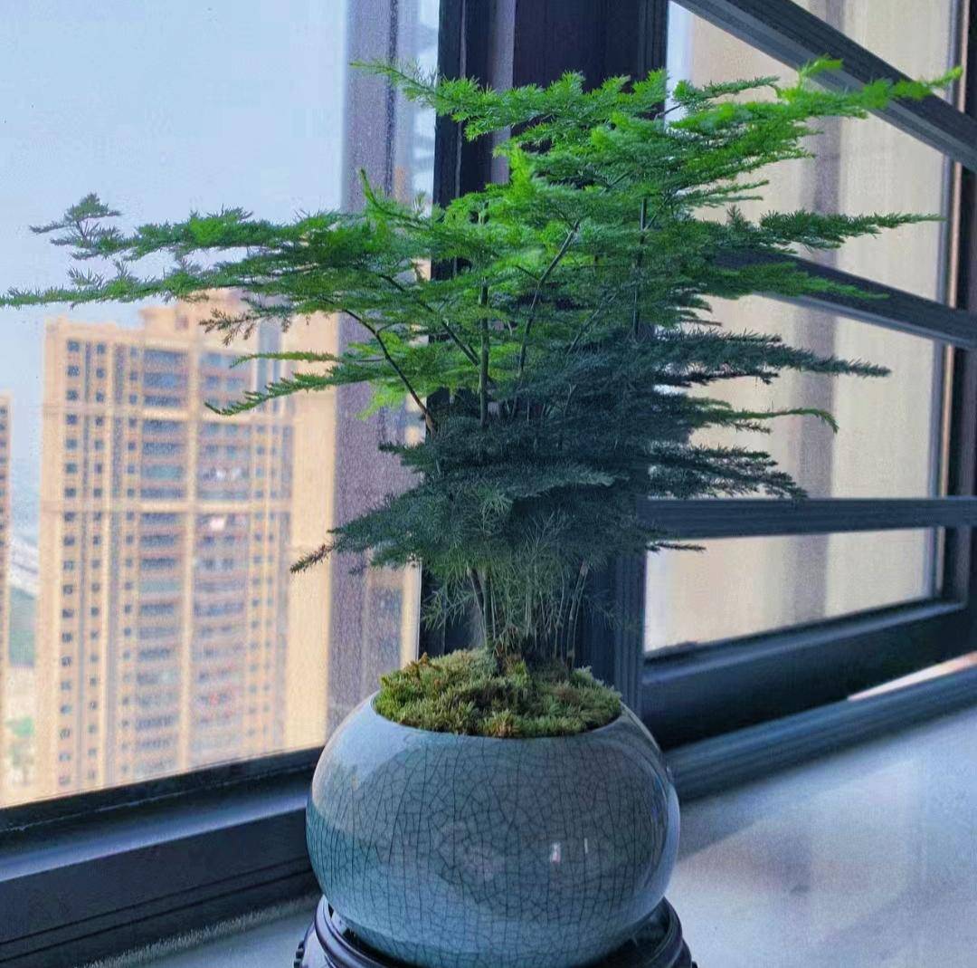 ashh jdb cjb dayy tweet media