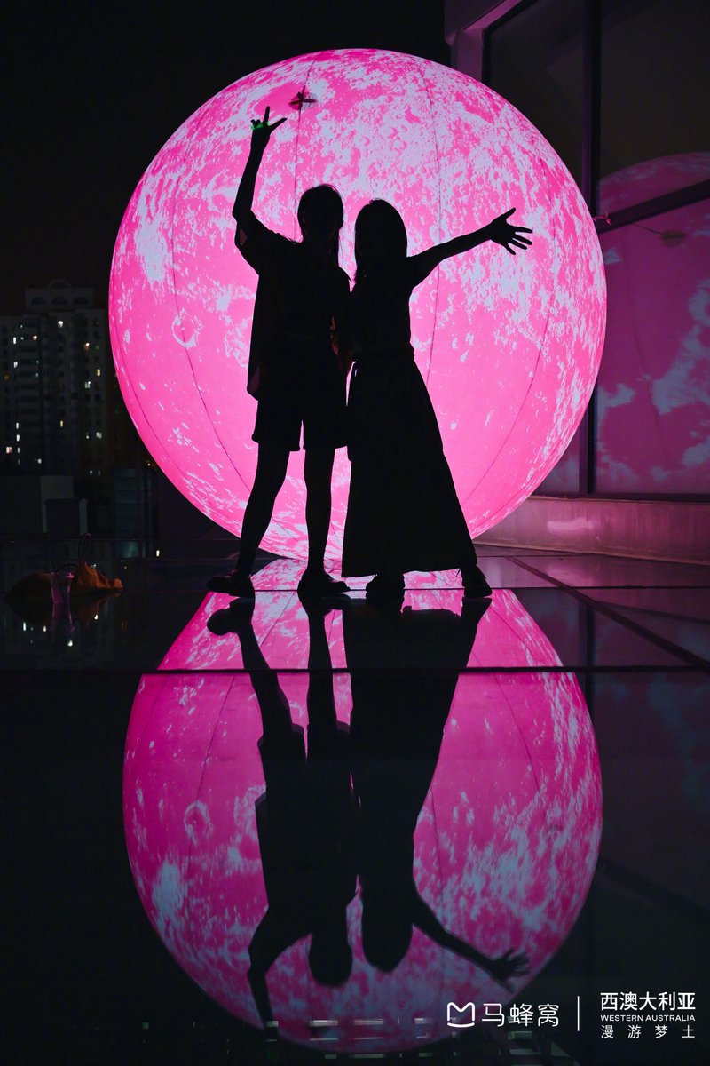 College W.S. tweet media