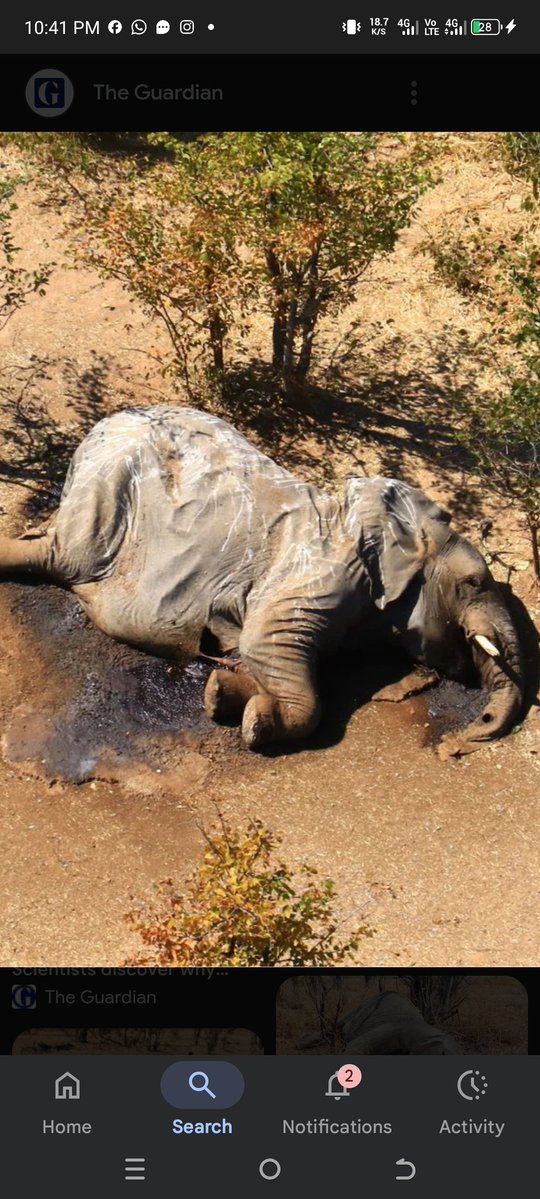 Safe Life Rwanda tweet media