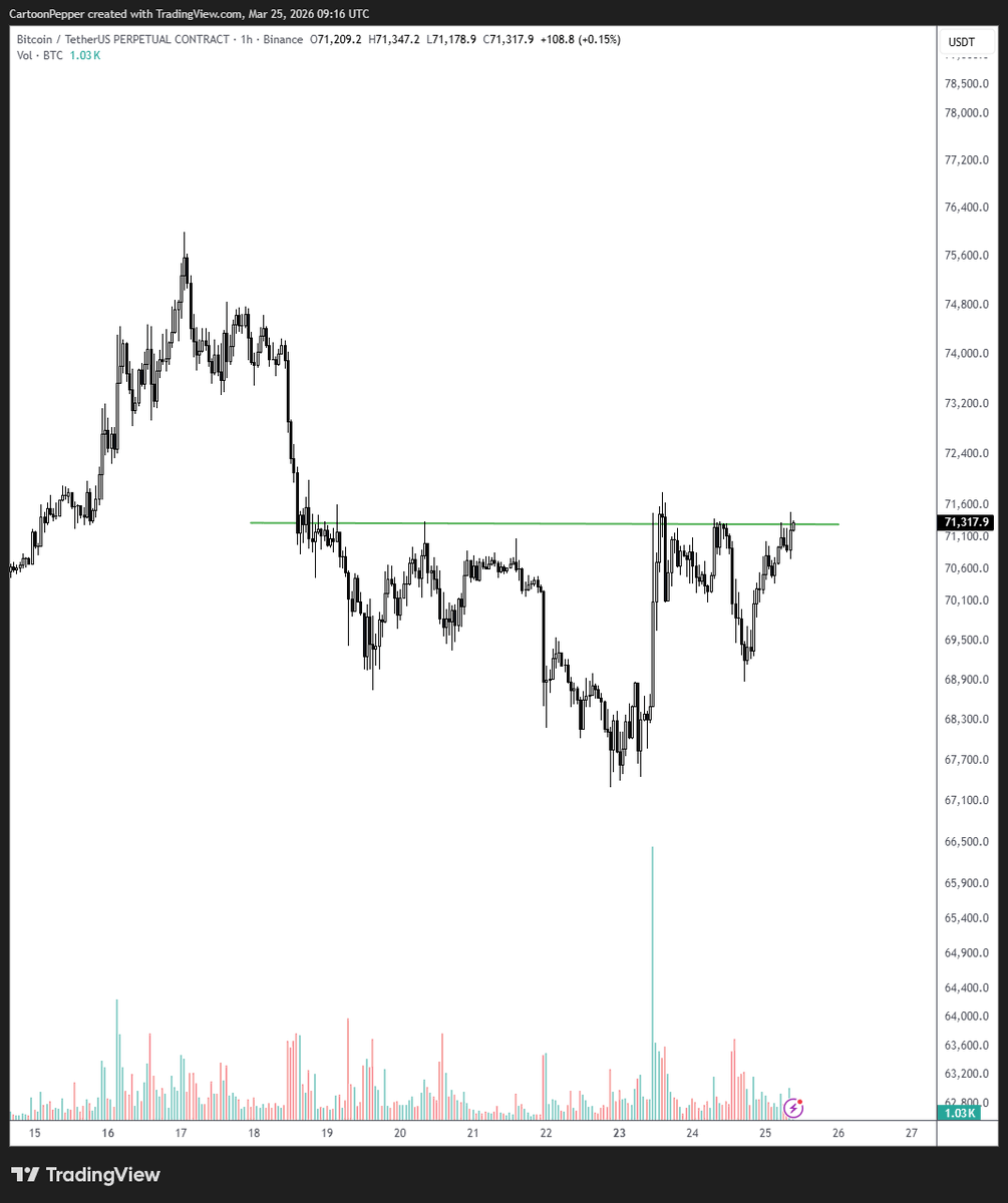 SalsaTekila tweet media