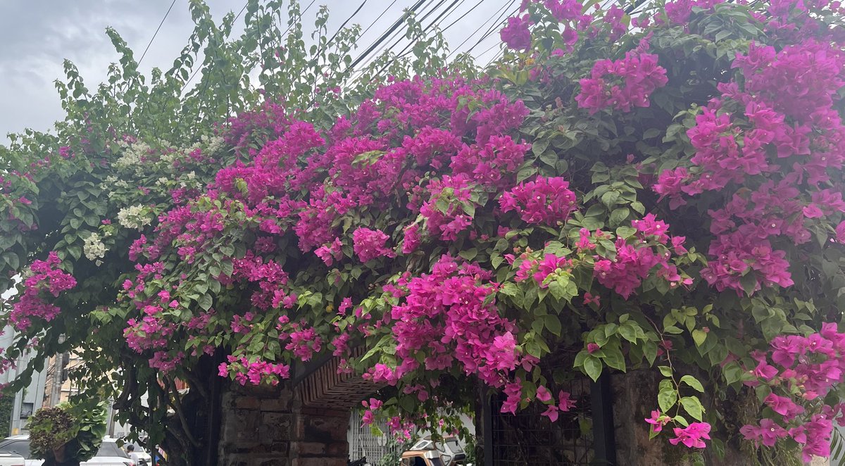 aelle 🌱 1/12 📚 tweet media