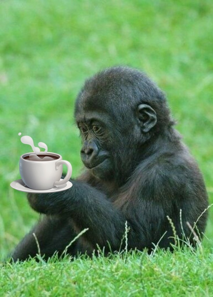 Why Me ๐ Why Not โฝโ๐ถ๐ด๓ ง๓ ข๓ ท๓ ฌ๓ ณ๓ ฟ๐ค ๐โ๏ธ๐ซถ tweet media