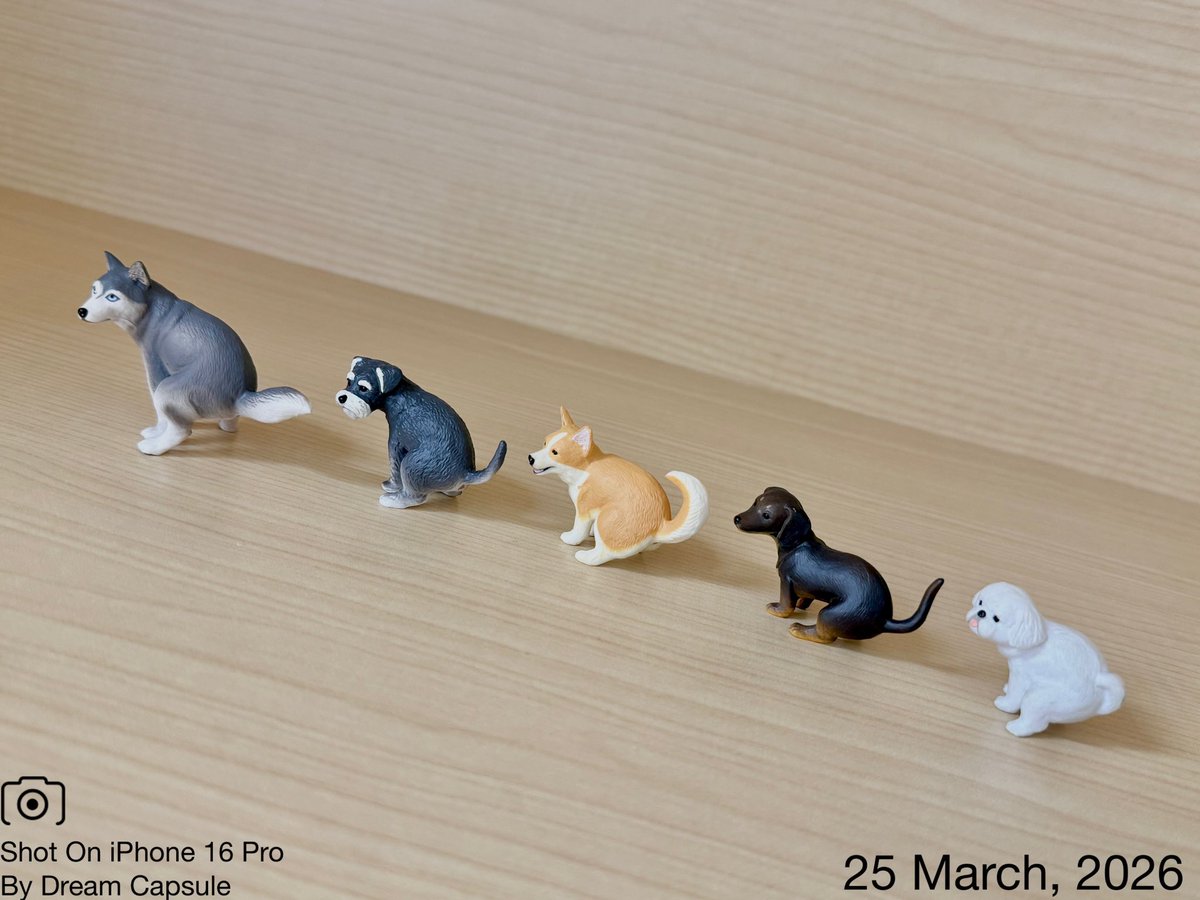 ドリームカプセルの中の人【公式】 tweet media