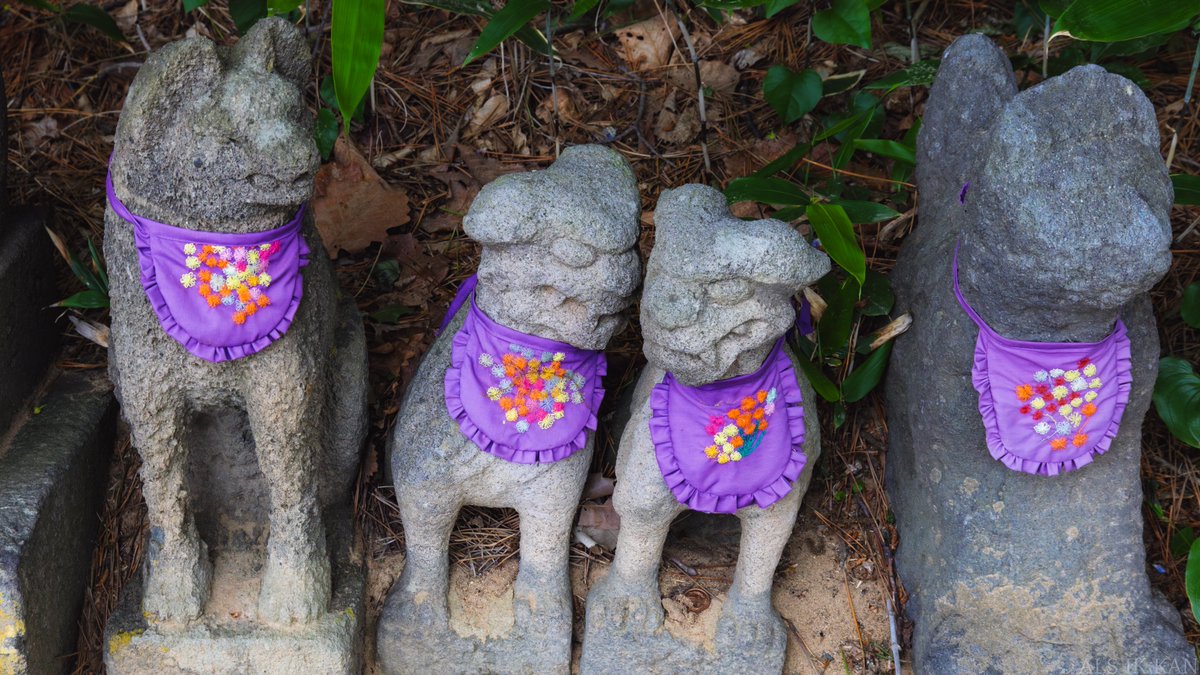 メダカさん tweet media