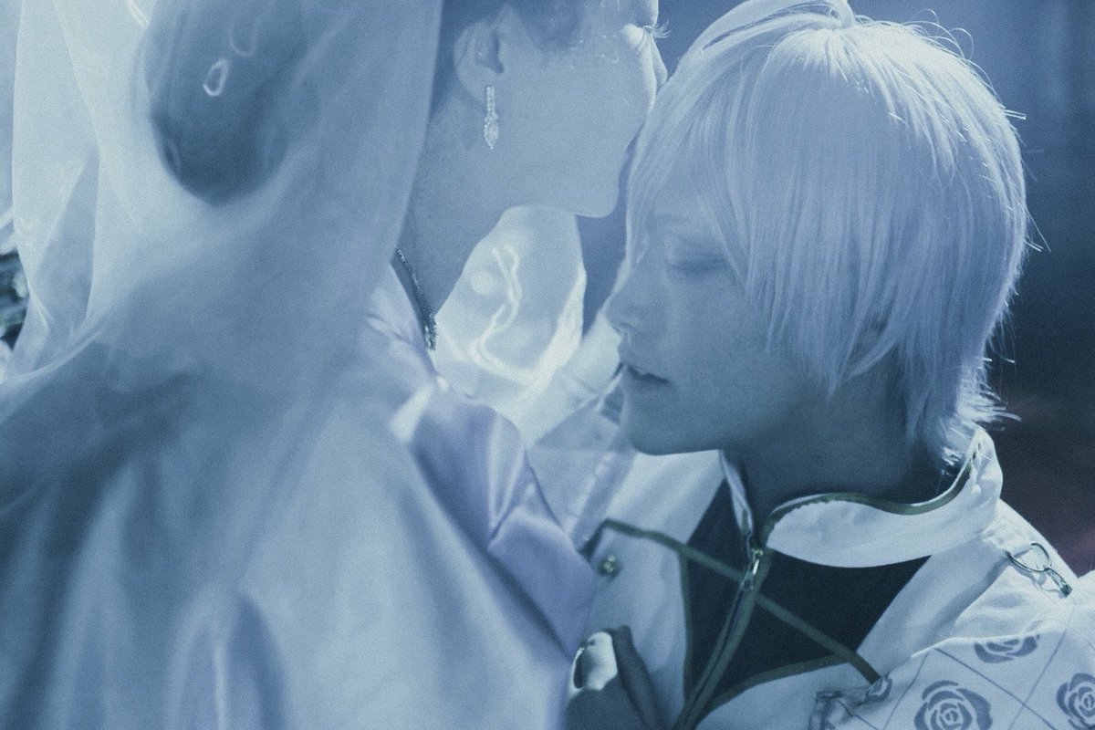 桜風 凛🌸twst垢のっとりのため移行先 tweet media