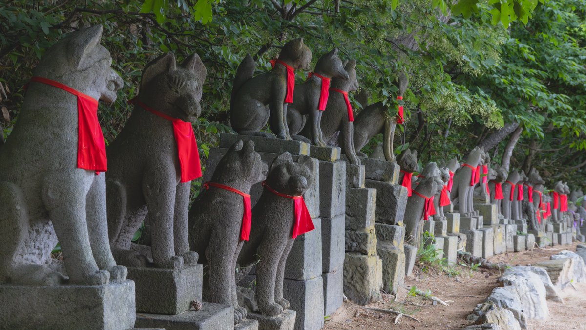 メダカさん tweet media