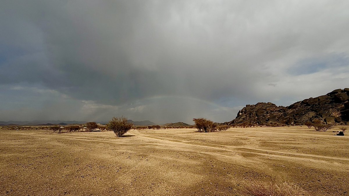 حلوٌ تعتريهِ مرَارَةْ tweet media