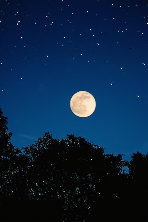 Miguel Angel tweet media