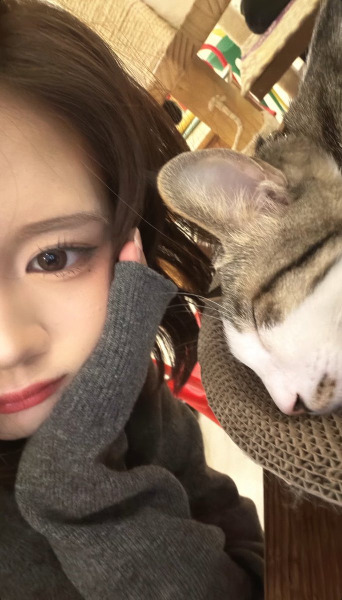 CHRISTYZER tweet media