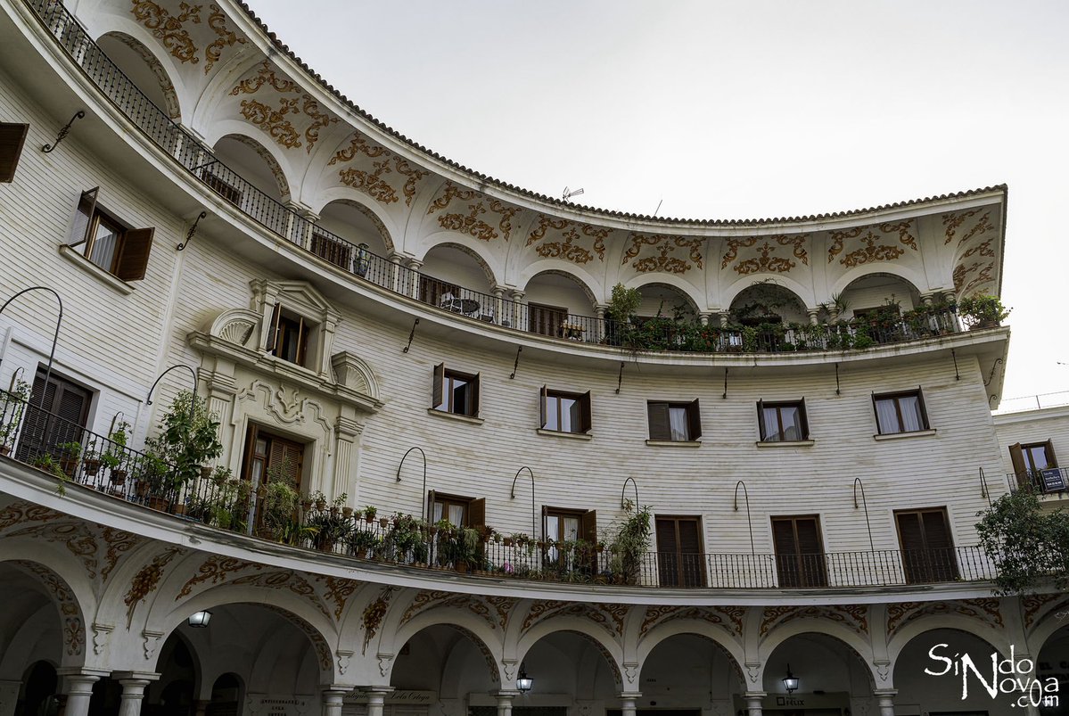 Sindo Novoa tweet media