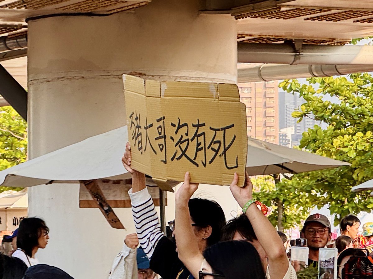 小羅⁵ tweet media