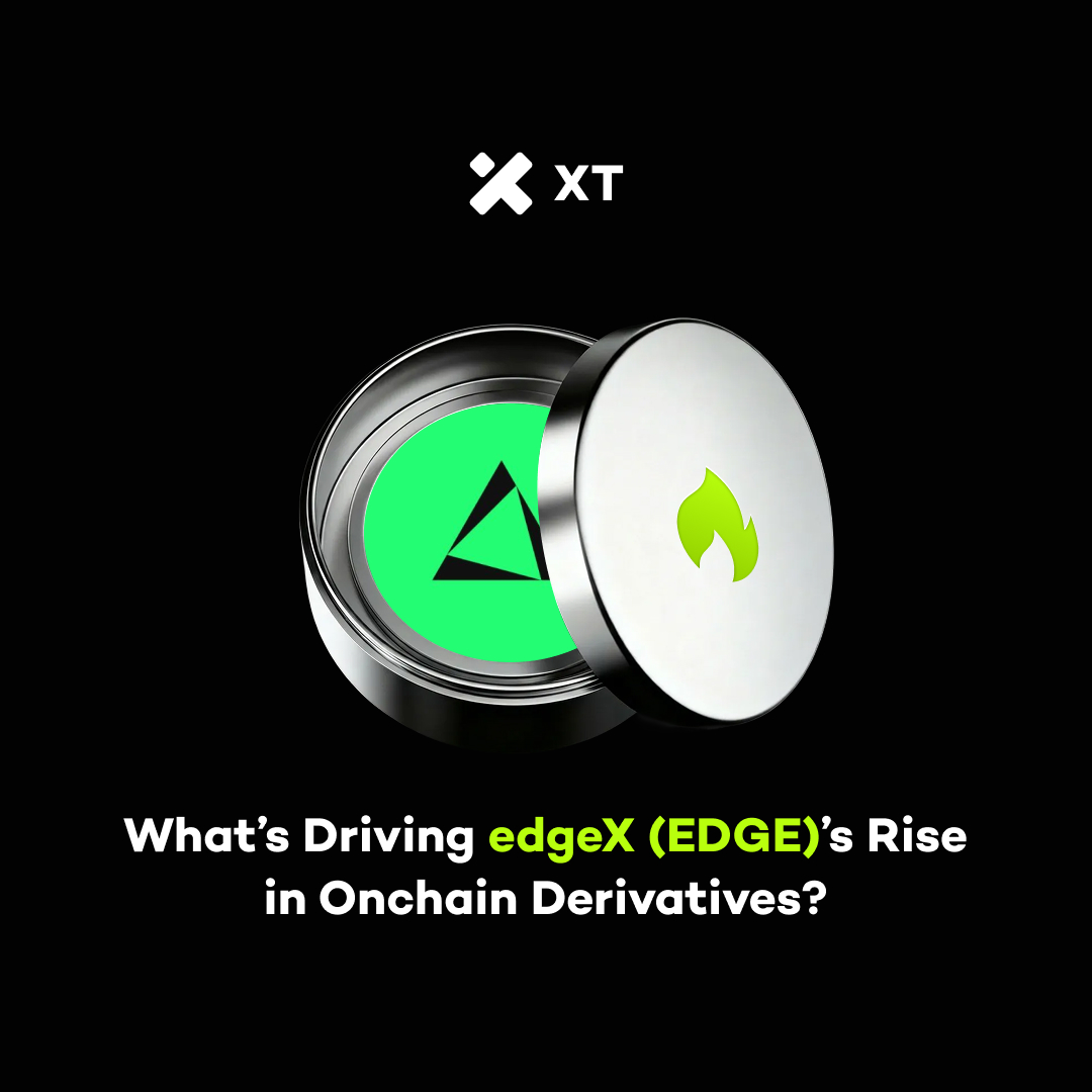 XT Exchange 🚀 tweet media