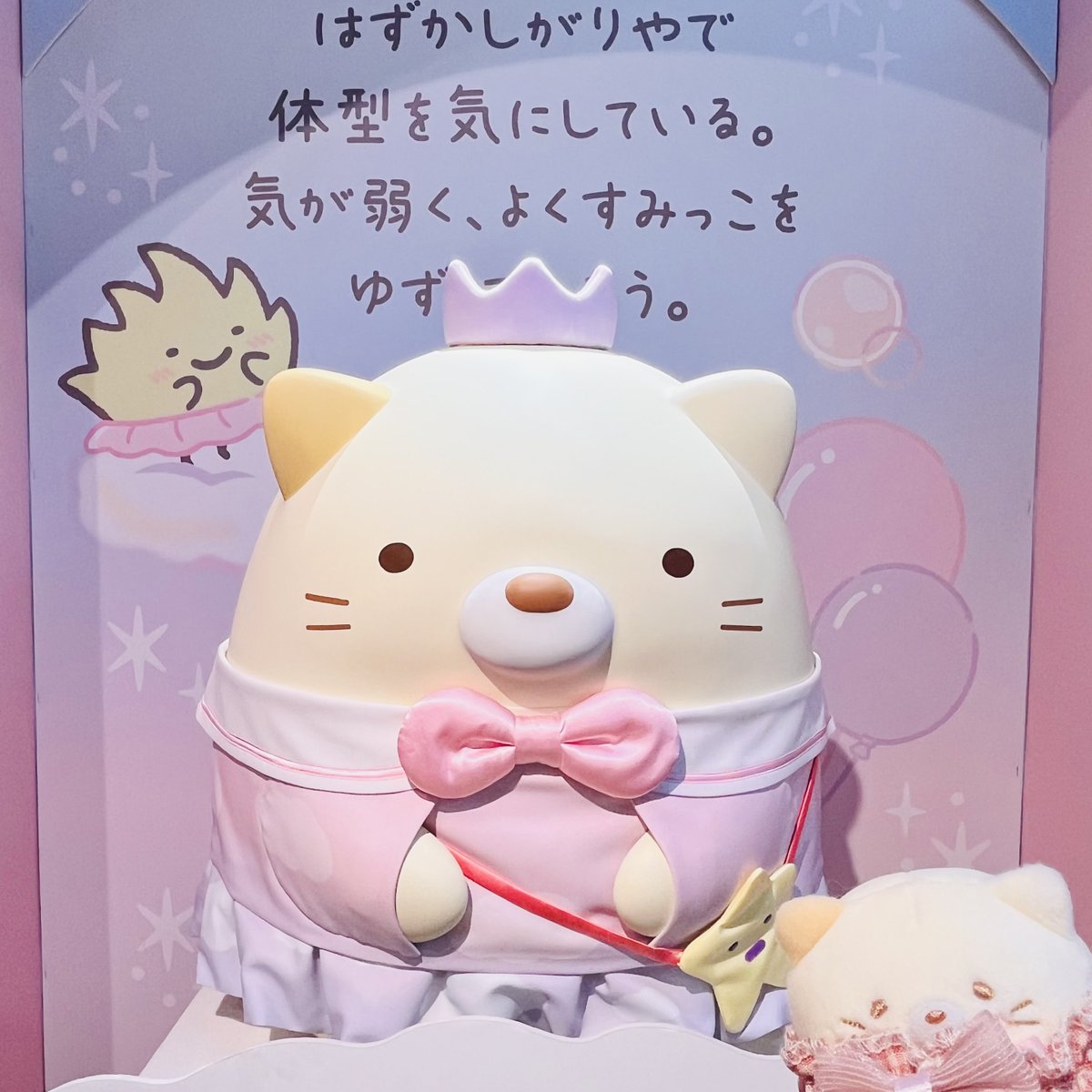 ねこた🐟🐱🍙 tweet media