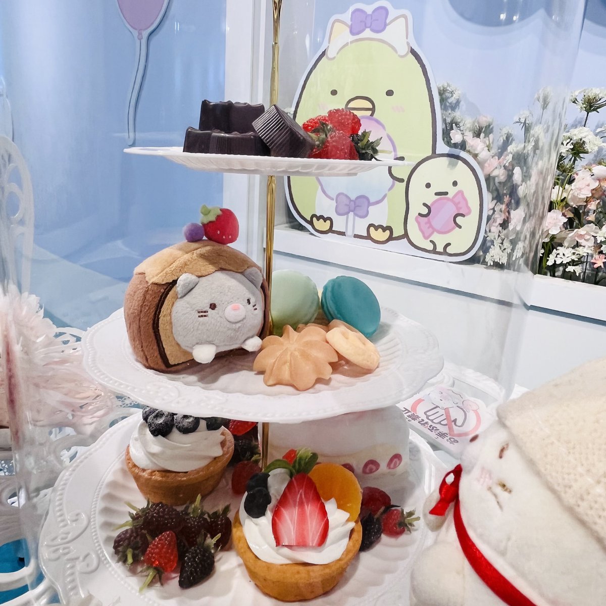 ねこた🐟🐱🍙 tweet media